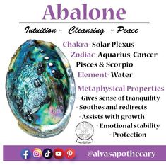 Abalone Shell meaning, Abalone metaphysical properties, Healing crystals, Abalone shell properties, Zodiac signs, Chakra, Elements Shell Meaning, Abalone Shell Meaning, Abalone Meaning, Shell Meaning Witchcraft, Shells Magical Properties, Abalone Shell Decor, Aquamarine Magical Properties, Shiva Shell Crystal Meaning, Abalone Shell Properties