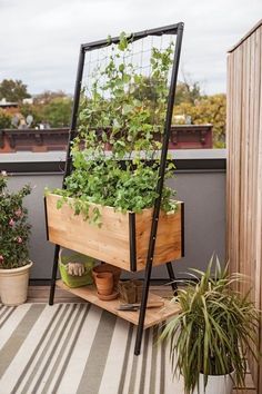 a wooden planter filled with green plants on top of a roof garden stand next to potted plants