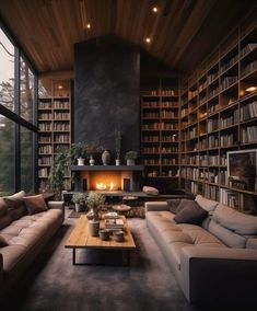 a living room filled with furniture and a fire place next to a book shelf full of books