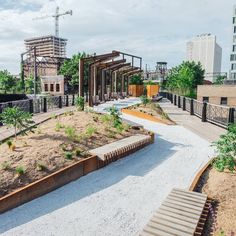 an urban park with benches and plants in the foreground, surrounded by buildings under construction