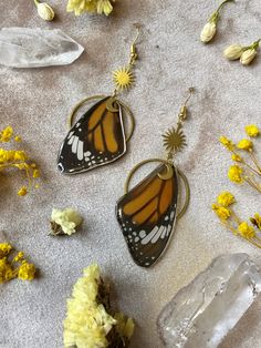 These earrings are made using real Monarch butterfly wings - specifically the top set of wings. This butterfly has many different meanings depending on the culture, but in general, the sighting of this magnificent butterfly signifies that your guardian angel (or guiding spirit) is watching over you. They are regarded as messengers from the spiritual realm since these butterflies are said to be able to travel between our physical and spiritual worlds. Another common meaning for the sighting of a Real Butterfly Earrings, Nature Clothes, Monarch Butterfly Wings, Real Butterfly Wing Jewelry, Queen Of Wands, Butterfly Wing Jewelry, Stained Glass Earrings, Real Butterfly Wings, Butterfly Wing Earrings