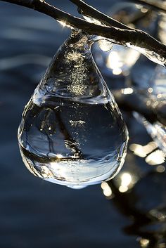 a drop of water hanging from a tree branch in the sun with some ice on it