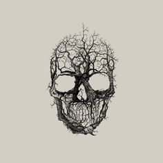 a black and white photo of a skull made out of branches