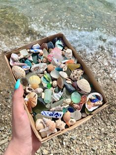 a hand holding a box full of sea glass and seashells on the beach