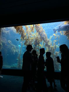 people are standing in front of an aquarium