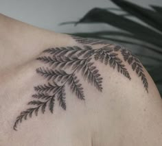 the back of a woman's shoulder with a fern tattoo on her left shoulder