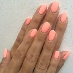 Short Nails Peach Color, Nail Colours For Tanned Skin, Peach Shellac Nails, Peachy Gel Nails, Light Peach Gel Nails, Short Peach Nails, Peach Nail Color Gel, Sherbert Nails, Plain Summer Nails