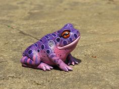 a purple frog sitting on top of a sandy beach