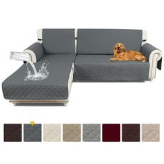 a dog laying on top of a couch next to different color options for the sofa