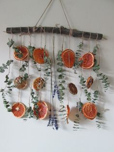 an orange and grapefruit mobile hanging on a wall