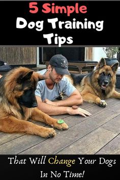 a man and two dogs laying on the ground with text that reads, 5 simple dog training tips that will change your dogs life in no time