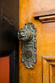 an ornate door handle on a wooden door