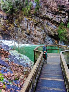 a person riding a bike across a wooden bridge