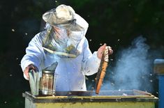 a beekeeper in full protective gear is working on his hive box while bees fly around