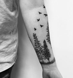 a couple of birds flying over some trees on their left arm and the other arm is black and white