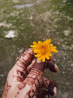 a person holding a yellow flower in their hand