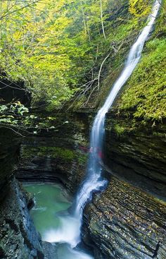 a waterfall in the middle of a forest with green trees and leaves on it's sides