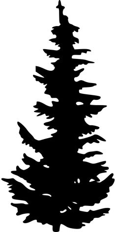 a black and white silhouette of a pine tree