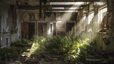 an old run down building with lots of plants growing out of the floor and windows