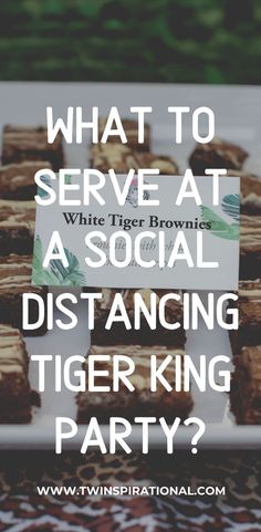 some brownies on a white plate with the words what to serve at a social distancing tiger king party?