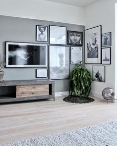 a living room with pictures on the wall and a potted plant next to it