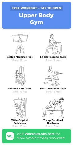 the upper body gym poster with instructions to use it for exercise and physical activities, including exercises