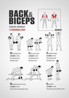 the back and biceps workout poster shows how to do dumbbles with one arm