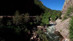 a river flowing through a lush green forest