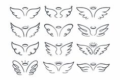 the different types of wings and their shapes