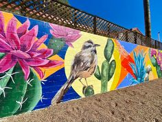 a bird painted on the side of a wall next to cactus and cacti