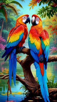 two colorful parrots are sitting on a branch in front of the water and trees