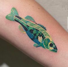 a colorful fish tattoo on the arm