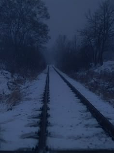 a train track in the snow with trees and bushes on either side, at night