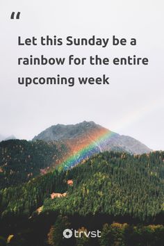 "Let this Sunday be a rainbow for the entire upcoming week, painting your days with positivity and happiness. Each color a gentle reminder to keep going, aiming higher, and spreading love. Shop sustainably and make lasting choices that protect our precious Earth"

- 

#trvst #SundayQuotes #quotes #thinkgreen #socialimpact #positivevibes #sustainableliving #weekendvibes #greenliving

📷 @eberhardgross