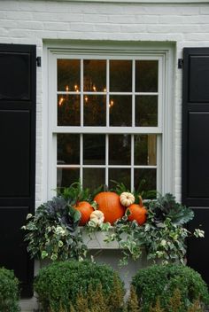 a window with pumpkins and greenery in it