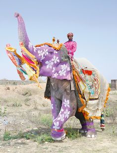 an elephant painted with flowers is being held up by a person in the foreground