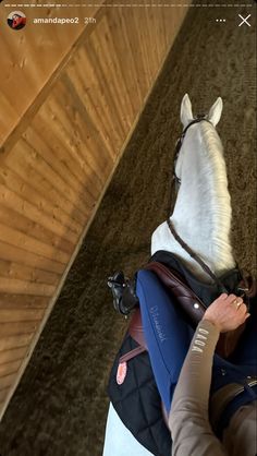 a person is petting a horse in the stable with her back to the camera