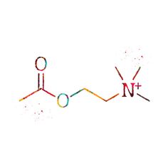 an image of the chemical structure for vitamins and other things that can be used to make