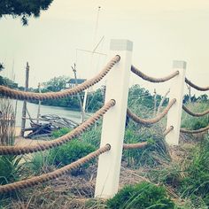 there are many ropes attached to the posts by the water's edge and grass