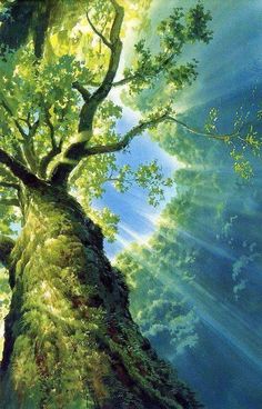 a painting of a tree in the middle of a forest with sunlight streaming through it