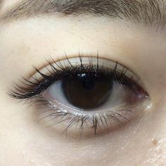 Lash Extentions Asian Eyes, Brow Eyes, Eye Aesthetic, Brown Eyes Aesthetic, Natural Fake Eyelashes, Eyes Aesthetic, Face Brightening, Anime Makeup, Doll Eye Makeup