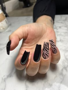 Black And White Zebra Nails, Black White French Tip, Black Zebra Nails, Nail Zebra Designs, Zebra French Nails, Zebra Nails Acrylic, Zebra Acrylic Nails, Zebra Nail Designs, Zebra Nail Art