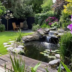 a small pond in the middle of a garden with purple flowers and water lilies