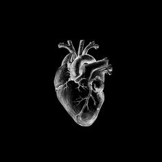 a black and white photo of a human heart