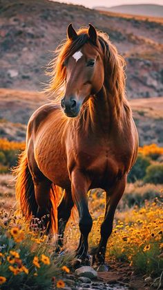 a brown horse standing on top of a lush green field next to yellow wildflowers