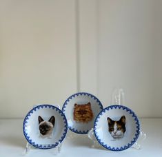 three plates with cats on them and one has a cat's head in the center