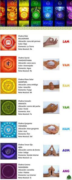 Los 7 chakras son centros de energía no medibles que se encuentran en el cuerpo humano e influyen en nosotros a nivel psicológico. Muy utilizado en reiki y otras terapias. #chakras #energía #bloqueo #armonía Chakra Mantra, Meditation Mantra, Yoga Kundalini, Yoga Studio Design, Muscle Abdominal, Yoga Mantras, Chakra System, Chakra Yoga, Vie Motivation