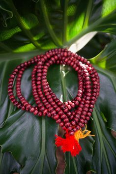 Red 8mm Spiritual Beads, Red Wooden Beads In Traditional Style, Red Wooden Beads Traditional Style, Red Wooden Beaded Necklace, Red Wooden Beaded Necklaces, Red Round Beads Mala For Meditation, Red Traditional Wooden Beads, Red Round Beads Mala For Gift, Red Mala With Round Beads For Meditation