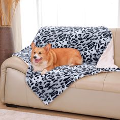 a brown dog laying on top of a couch covered in a leopard print throw blanket