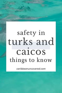 a dolphin swimming in the ocean with text that reads safety in turks and cayos things to know